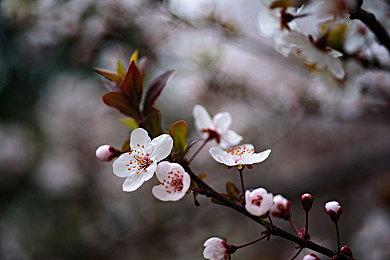 《战神4》Mod搞笑视频 姆巴佩和梅西一决高下